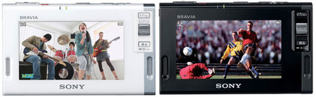 bravia_1.jpg