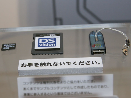 dsvision2.jpg