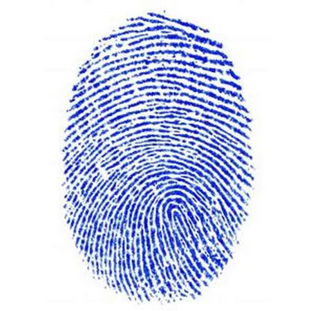 Fingerprint test что это за программа на андроид