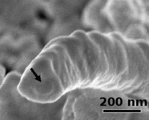nanowire.jpg