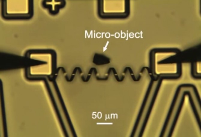 robotic-muscle-berkley